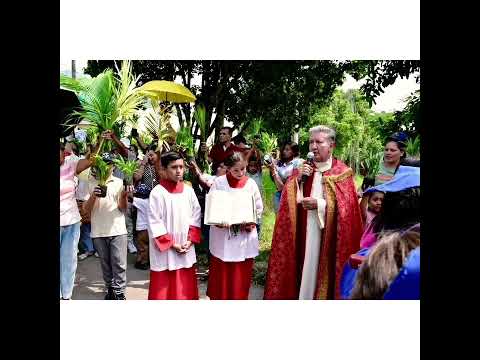 procesión de Domingo de Ramos 2024 - Parroquia San Sebastián La Plata Huila