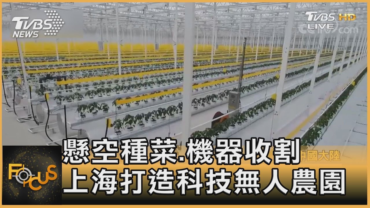 懸空種菜、機器收割 上海打造科技無人農園