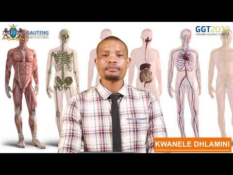 NATURAL SCIENCES GRADE 9 : SYSTEMS IN THE HUMAN BODY