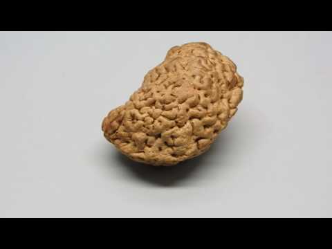 RD52467 GJSPC LABORATORY