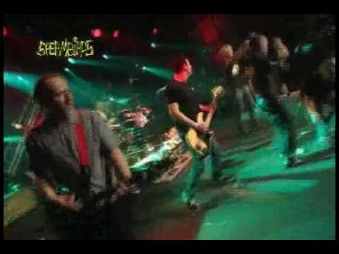 Spermbirds - you're not a punk