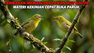 Download lagu PANCINGAN PLECI NEMBAK PANJANG MATERI KEKINIAN, BIKIN LAWAN IKUT GACOR DAN CEPAT BUKA PARUH mp3