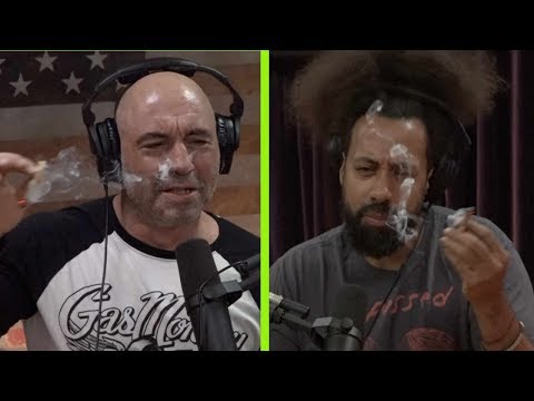 Joe Rogan Explains the Stoned Ape Theory to Reggie Watts