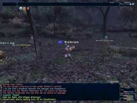 FFXI Beastmaster - Testing