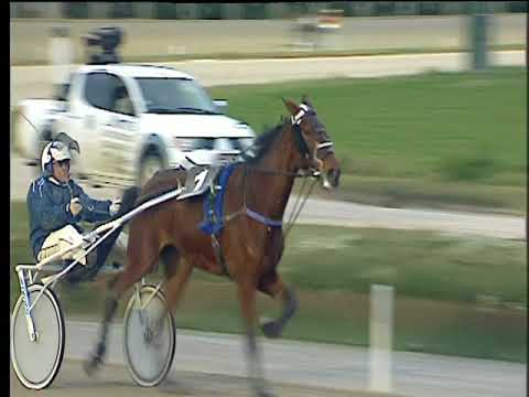 Trotto 16/01/2018 - 3ª corsa