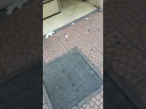 Papapapapa Carmelaaaa