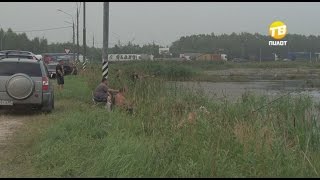Платные водоемы для рыбалки в тверской области