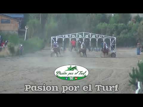 Bariloche 17/03/24 🏆 CLASICO 325mts - 1.Viento sur/ 2.Diegol/ 3.4G