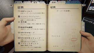 [絶叫、鼓膜破壊注意]　カオススクワッドでゴーストバスター！　ファズモフォビア　ヨシエ視点