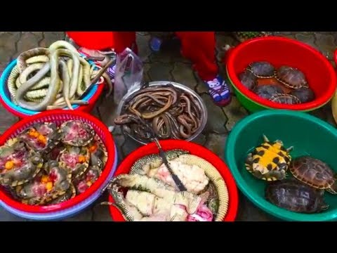 Fresh Phnom Penh Village Food - Asian Market Food 2018 Video