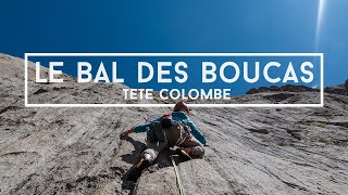 Le Bal des Boucas | Tête Colombe| Episode 25