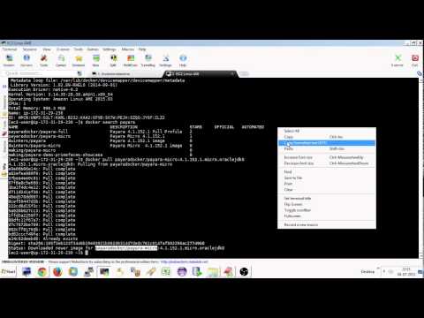 ‘Micro’ Java EE on the cloud with ‘dockerized’ Payara | Head in the clouds