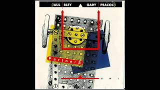 Paul Bley  / Gary Peacock  - again anew