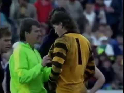 Hawthorn vs Carlton - Rd 21 1990 (HFC Highlights)