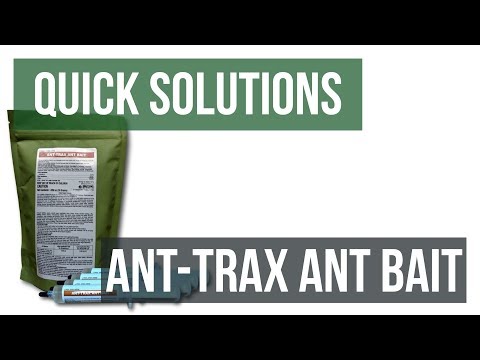 Quick Solutions: How to Use Ant-Trax Ant Bait