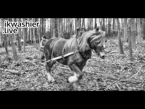, title : 'Débardage avec chevaux de trait - Boomslepen met trekpaarden - ikwashier.live in Braine-le-Château'