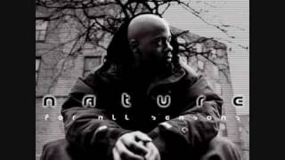 Nature feat. Nas - The Ultimate High  (SB remix)
