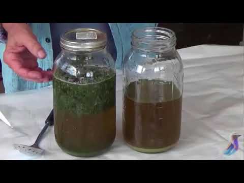 THEBUDVISOR.COM - Video Series: Hash@Home