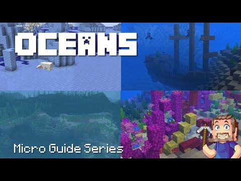 MikeyArchitect - Ocean Biomes - Minecraft Micro Guide