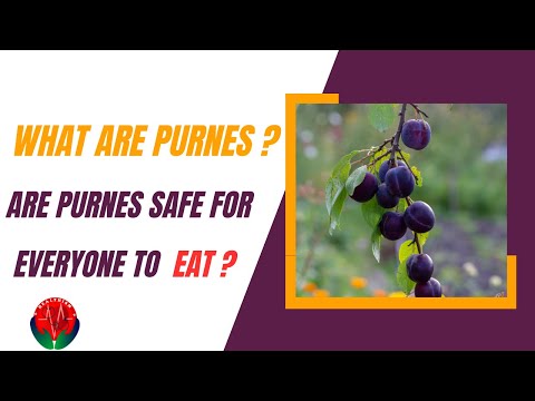 Unlocking the Health Benefits and Culinary Delights of Prunes: A Comprehensive Guide