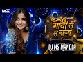 Godi Le Le Raja Gondi Dj Song Cg Bass Boostead Dj Ms Mandla Remix 2025