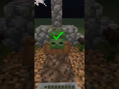 Spooky Minecraft Jumpscare!