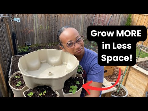 Grow MORE in LESS Space! How I Plant My 5-Tier GreenStalk Vertical Garden