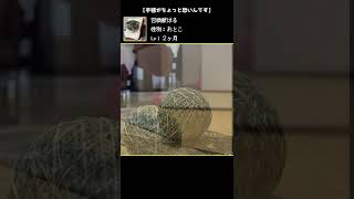 【癒し動画】初めての手毬【召喚獣はる短編】