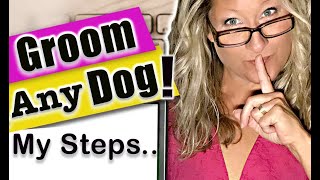 My SECRET Steps to GROOM ANY DOG!