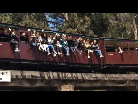 Puffing Billy Melbourne