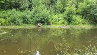 Vernal Pond Huntington VT(3)
