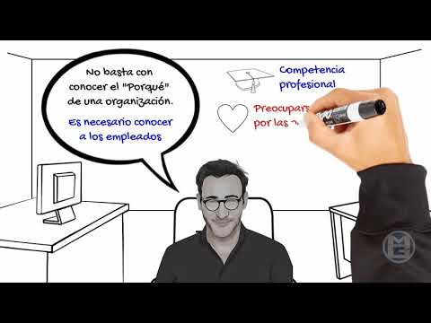 Video relacionado