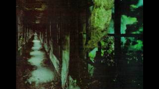 Six Feet Deep  - Purify