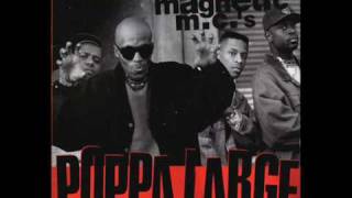 Ultramagnetic MC&#39;s - Poppa Large (East Coast Mix)