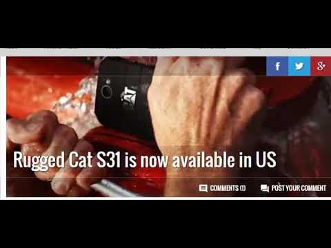 CAT S31