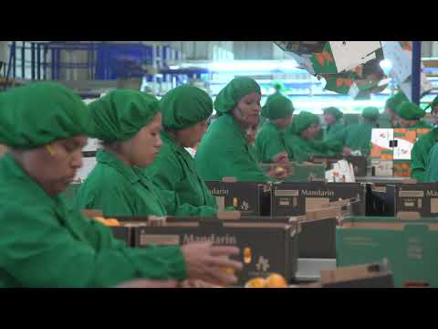 Китай поможет Перу преодолеть спад экономики