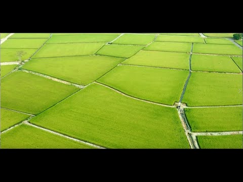 農糧業務簡介影片 中文精華版