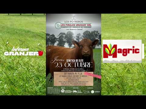 Gran Remate este Jueves 23 en Los Cerrillos de la Raza Limangus hablamos con Gilberto Porta