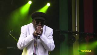 JOHNNY OSBOURNE "Truths And Rights" Reggae Geel, Belgium 2012