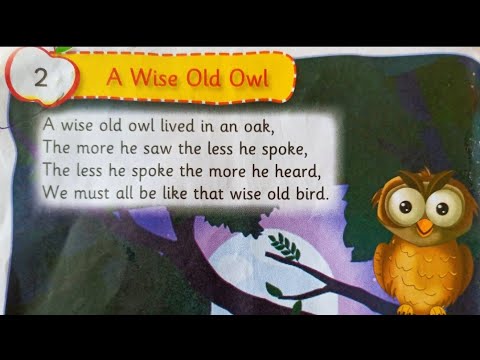 A Wise Old Owl | Sr Kg Rhymes | Songs & Poem | S&D Teacher