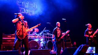 English Dogs - Brainstorm LIVE Denver, CO [HD]