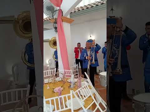 En San Martin  chalchuicuautla  san Luis Potosí. Estuvo la banda de viento  HALCON  HIDALGUENSE  