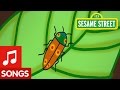Sesame Street A Song About Bugs