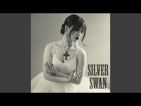 Silver Swan