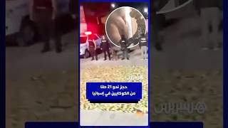 تفكيك شبكة إجرامية تنشط بين إسبانيا والإكوادور وحجز أكثر من 21 طنا من الكوكايين thumbnail