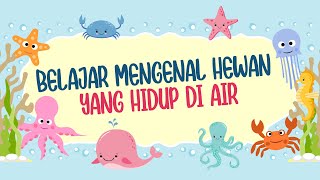 Download lagu BELAJAR MENGENAL HEWAN YANG HIDUP DI AIR mp3 Download lagu BELAJAR MENGENAL HEWAN YANG HIDUP DI AIR mp3