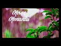 Kallu Rase Ni Kallu Rase Lyrical Song Nani
