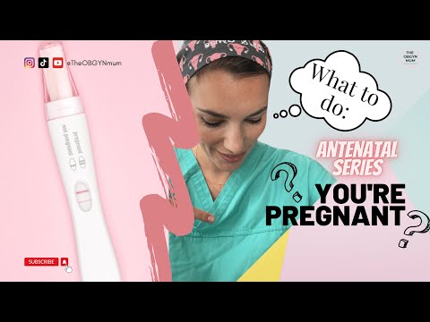 What to do when you first find out you are pregnant! Top tips from an OBGYN.