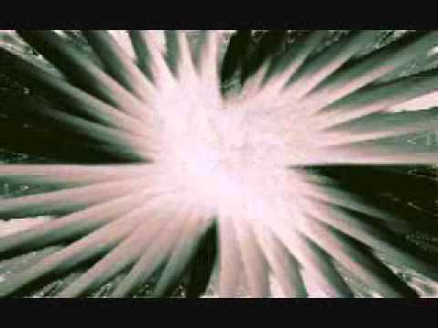 amistad con dios capitulo 8