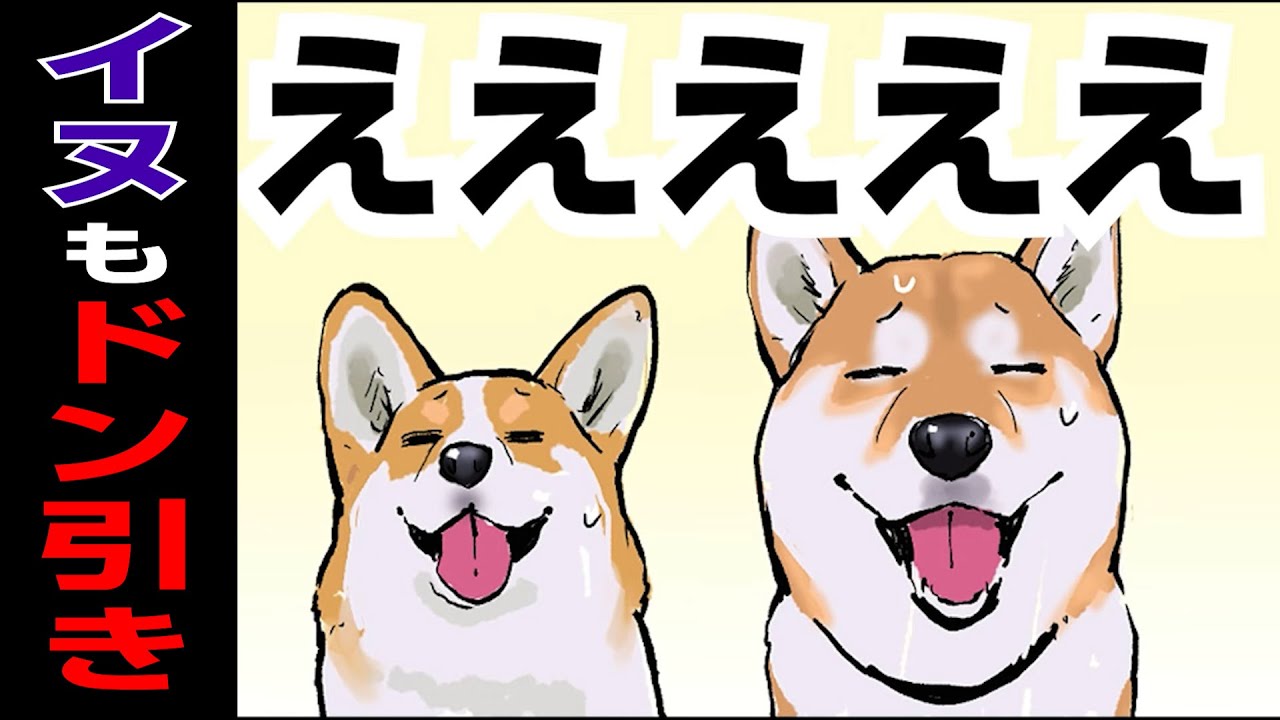 【ドン引き】犬にもドン引きされる人間の行動【世界の終わりに柴犬と】